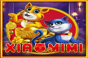 01243 xiao mi mi