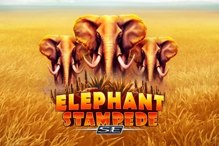 20684 elephant stampede se